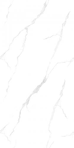 Y12616