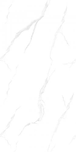 Y12616-3