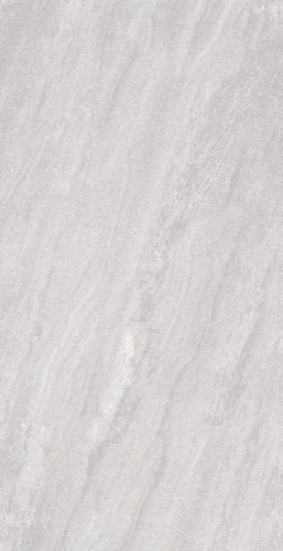 T66-019A