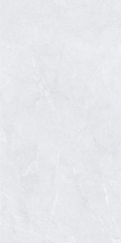T66-009A