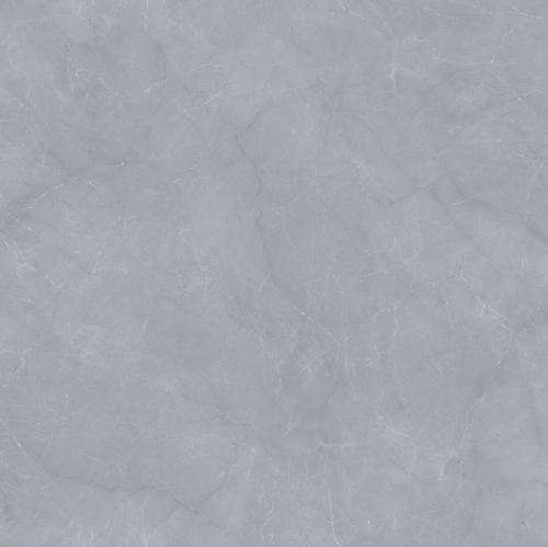 TM6629L