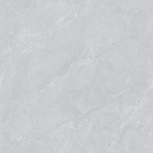 TM6630L