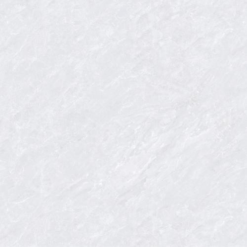 TM66232L