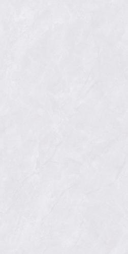 Y12686